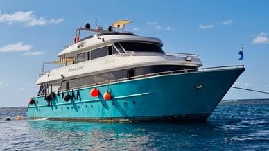 Tauchsafari Saudi Arabien M/Y Dolphin Island