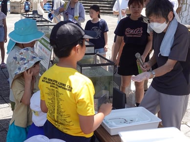 魚類研究者・君塚芳輝先生の話に夢中になる子どもたち