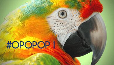 image ara miméthik - slogan #OPOPOP !