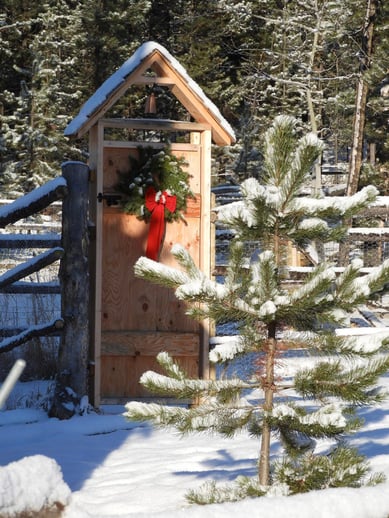Weihnachts-Grüsse von unseren Freunden aus Kanada BC, Wolf Valley Ranch BC 