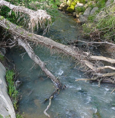 orthe, peyrehorade, landes, aquitaine, peche, lamproie, adour, gave, arthous, cagnotte, sorde, barthes, radelage, alose, saumon, port de lanne, lavoir, couralin, hastingues,  tilhole, galupe