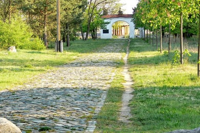 (Fotos: W. Spaarschuh)