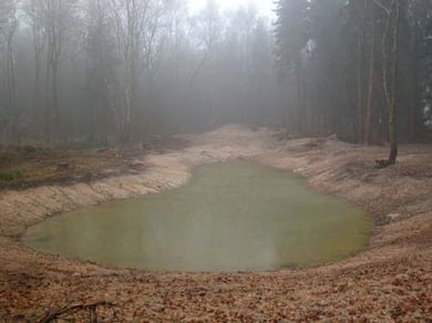 Das Waldgewässer im NABU-Wald "Hölle".