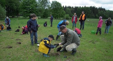 Dank der vielen fleissigen Helfer waren die rund 500 Wiesenblumen schnell gepflanzt.