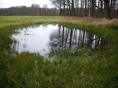 Und ein Jahr später - vom anderen Ufer aus betrachtet.