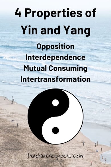 Four Properties of Yin and Yang: Opposition, Interdependence, Mutual Consuming, Intertransformation - BeachsideAcupuncture.com blog