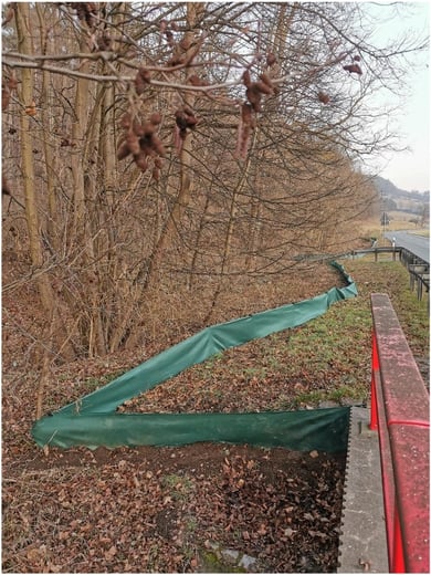 Foto: Mareike Klinger-Strobel