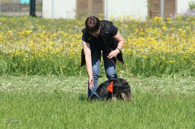 In der Fährtengruppe der Hundeschule Matte werden Hund und Mensch eine korrekte Aufnahme der Fährte, auf ein sicheres Halten der Fährte in gleichmässigem Tempo, auf korrektes Verweisen der Gegenstände