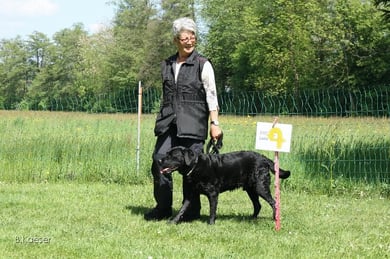 In den Plauschhundegruppen der Hundeschule Matte lernen die Hunde und ihre Menschen spielerisch. Alltagssituationen werden geübt, Gegenstände gezeigt.