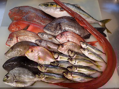 宅配寿司　新鮮　美味しい