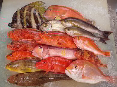 美味しい宅配寿司　出前