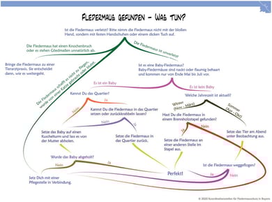 Quelle: Koordinationsstellen für Fledermausschutz in Bayern