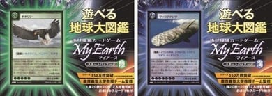 （左）スタートパッケージ「陸」　／　（右）スタートパッケージ「海」