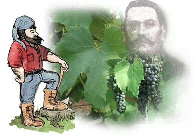 baco, françois, peyrehorade, orthe, landes, aquitaine, dax, adour, belus, labatut, greffe, greffon, phylloxera, armagnac, vignoble, instituteur, hybride, hybridation, viticulture, hudson