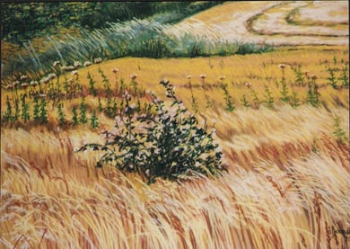 Blés, mauves, chardons, pastel 65x50 Sylvie Berman artiste peintre 