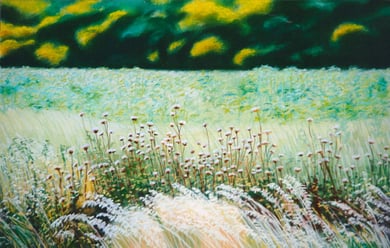 Follavoines chardons, pastel 70x50 Sylvie Berman artiste peintre 