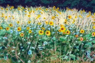 Juillet, pastel (dyptique) 65x110 Sylvie Berman artiste peintre 