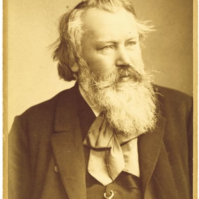 Johannes Brahms (1888)