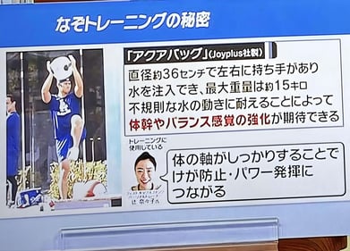 日本テレビ・ダイエットヴィレッジへの出演