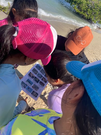 Galapagos Shark Diving - Team of Galapagos Whale Shark Project