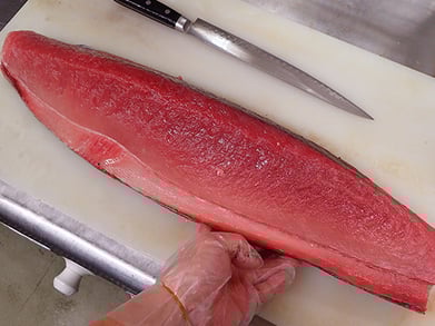 びんちょうまぐろの仕込み　背側　寿司　美味しい