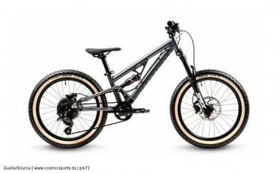 „Hellion X20“ von Early Rider