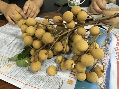 アンドウッド 無垢フローリング 新潟 調達記 andwood フルーツ 厦門編