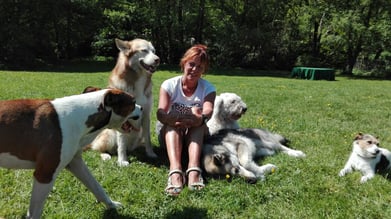 Hundetrainer Spaziergang mit Hund