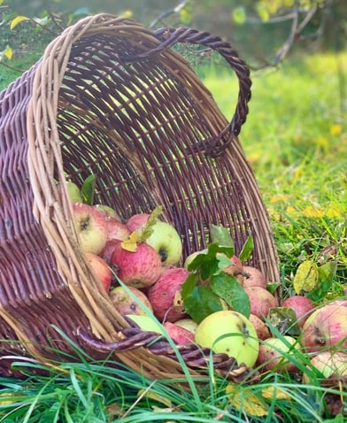 Quelle Julia Saarinen