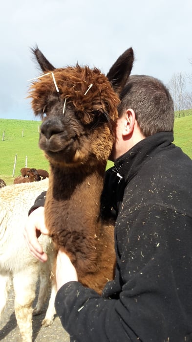 alpakaaktiv legt wert auf eine vertrauensvolle Basis.
