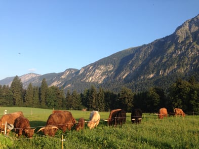 BIO-Landwirtschaft für die Zukunft unserer Kinder und Enkelkinder