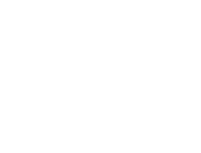 Bazzell Import – Mamajuana Spicy y Puros Premium en Suiza