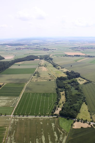 Zigneunerwäldchen - Foto: NABU/A. Kreusel