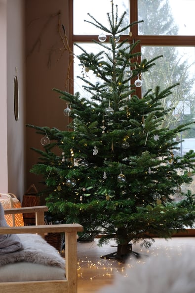 dieartigeBLOG // Wohnzimmer im Dezember, Weihnachtsbaum 2019, Nordmanntanne - nachhaltig + Klarglaskugeln, Messing, Gold, Holz - DIY
