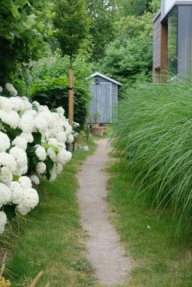dieartigeGARTEN // der Weg Vorher - Rasen mit Mittelstreifen/ Laufweg aus Sand