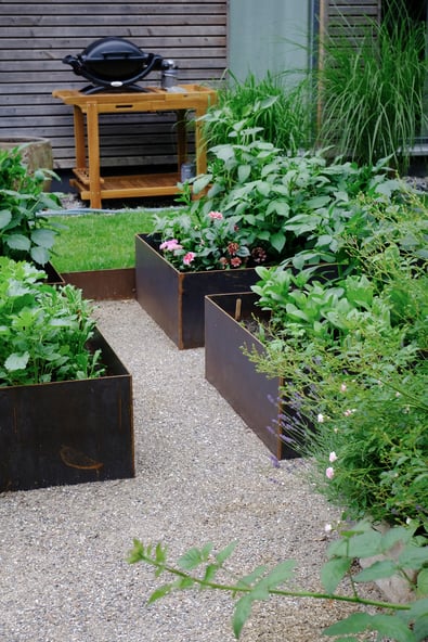 dieartigeGARTEN //June Garden - new high beds / neue Kniehochbeete mit Dahlien & Co