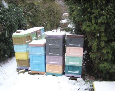 Überwintern von Mini-Plus Beuten