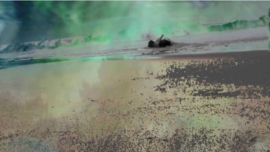 Continuum 2010, extrait de vidéo.