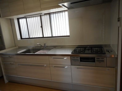 クリナップ　クリンレディー