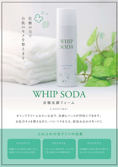 中川商店　岐阜　オリジナル　炭酸洗顔フォーム　WHIP SODA（ホイップソーダ）