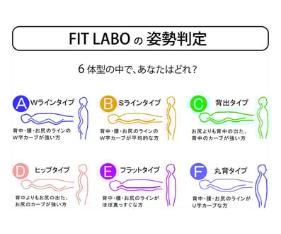FIT LABO 姿勢判定より ６体型