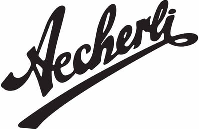 aecherli-museums Webseite!