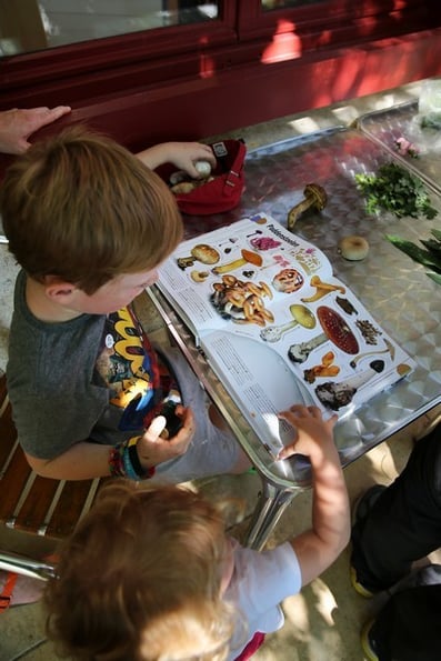 La découverte de la nature intéresse même les tout-petits !