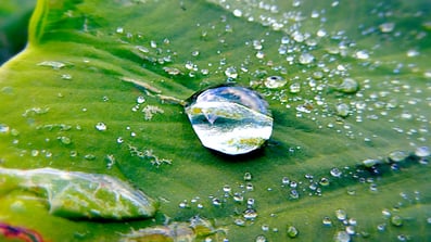 Therapie Coaching Gestalttherapie Philipp Steinmann