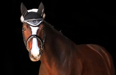 Ausgleichstraining Reiten