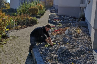 Dubach Garten Kundengärtner Bepflanzung