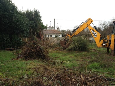 Terrassement et implantation