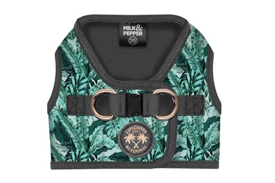 Milk and Pepper Hundegeschirr Amazonia grün tropical Neopren Dschungel Palmenblätter 