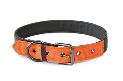 Hundehalsband Milano Orange Khaki schick Cord Leder 51DN