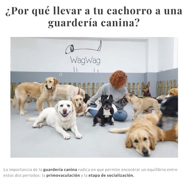 WagWag en Mascoboutique